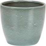 Scheurich Scottish Moss 16 cm