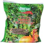 Fitofarmacia Agrenvi Substrat Citrice TORFLAND 5L (288370)