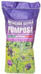 Fitofarmacia Agrenvi Samanta Lucerna POMPOSA 10kg (2669)