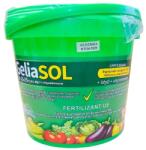 SOLAREX Ingrasamant Fertigare GELIASOL 25-25-25 5kg (68092)