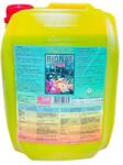 PANETONE Ingrasamant Foliar BIONAT PLUS 5L (46919)
