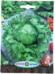 Fitofarmacia Agrenvi Seminte Salata ICEBERG 3g (45791)