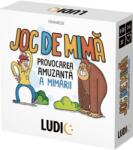 Headu Joc educativ Headu Ludic RO59674 - Joc de mima, lb. romana (55.99) Joc de societate