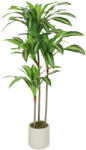 Homcom Plantă Artificială Dracaena Verde din PEVA și Lemn cu Ghiveci din PP și Ciment, 60x40x120 cm