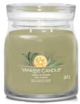 Yankee Candle Parfumuri pentru casa Yankee Candle Sage & Citrus 368 g