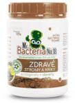 Mr. Bacteria Talajaktivátor, Mr. Bacteria No. 18, 500 g, fákhoz és cserjékhez, bio-enzimatikus, vegyszermentes, talajbaktérium-keverék (TC311026MB)