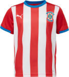 PUMA Fc Zbrojovka Brno Jr Home Jersey (60587301 - Zb)