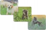 Hama podkładka pod mysz "animal" (001268720000) (001268720000)