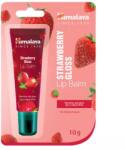 Himalaya Epres tubusos ajakbalzsam - 10g ( Táplálja és természetes fényt ad az ajkaidnak. )
