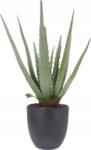 Jumi Műnövény Virág Cserépben Élő Aloe Vera Dekoráció Otthonra 45 CM (KW-321366)