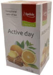 Apotheke Aktív Nap Fűszeres Mate Tea 20x2 g (0010014792)