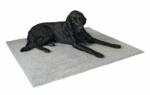 Kerbl Csúszásmentes thermo szőnyeg, szürke, 125 x 80 cm
