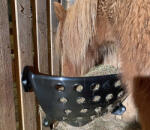 OK Plast Multi szénaállvány - 115 l