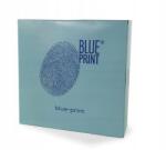 Blue Print Kuplung Szett Fordhoz