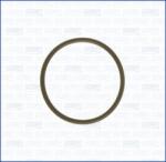 AJUSA Tesnenie trubiek chladenia AJUSA 16024300 (16024300)