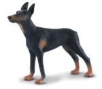 CollectA Figurina pictata manual caine Doberman Pinscher (COL88086L) - bekid Figurina