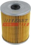 FAST filtru combustibil FAST FT39100 (FT39100)