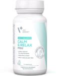 VetExpert VET EXPERT Daily Balance Calm and Relax Mini suport antistres câini talie mică și pisici 30 capsule