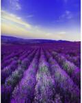 Media Öntapadó és mosható fali tapéta Levendula1, 150 x 205 cm (FOTOTAP5492)