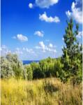 MÉDIA Öntapadó és mosható fali tapéta Natura48, 150 x 205 cm (FOTOTAP5521)