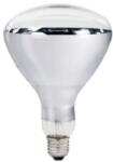Z-tools Bec cu Infrarosu, Transparent, 250 W, E27 (ZLN-TLS-IR-E27)
