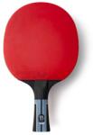 Butterfly Timo Boll Progress (1020250301)