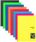  Caiet A4 60 file cu spirala, coperta plastic, MyNote Flex (UMX60M)