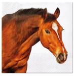 Paw Decor Collection Lovas szalvéta - barna lovas (VR-SDL133300)