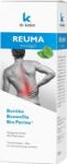 Dr. Chen Patika Rheunol cremă pe bază de plante pentru relaxarea musculară după sport și împotriva oboselii musculare (70ml)