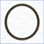 AJUSA Tesnenie termostatu AJUSA 16072700 (16072700)