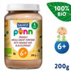Salvest Põnn Bio Teljes kiőrlésű kása banánnal és feketeribizlivel (200 g) (4740073079652)