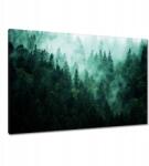 ZeSmakiem Képek 120x80 Erdő Köd Tájkép Utazás (H9929M_PC1B_120x80cm ZS)