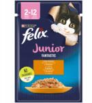 FELIX Tasak Junior Csirke Gyümölcskocsonya 85g