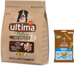  Affinity Ultima 2, 7kg Ultima No Grain Medium/Maxi pulyka száraz kutyatáp + 180g Ultima Dental Sticks Medium/Maxi kutyasnack ingyen
