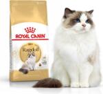 Royal Canin Ragdoll Adult - Ragdoll Felnőtt Macska Száraz Táp 2 Kg (59759) (59759)