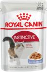 Royal Canin Instinctive Jelly - Felnőtt Macska Zselés Nedves Táp 85 G (VAT007891) (VAT007891)