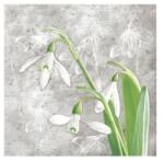 DAISY Hóvirágos szalvéta (FR-PM-007801)