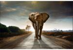 MÉDIA Öntapadó és mosható falfestmény Elephant Road, 400 x 250 cm (FOTOTAP8678)