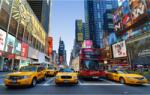 Media Falmatrica New York, Times Square, 350 x 250 cm (FOTOTAP13506)