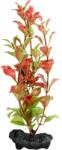 Tetra Műnövény Tetra Red Ludwigia S