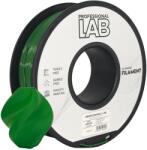 Professional Lab FG-P31-E1, 3D filament, PETG, Green, 1kg, 1, 75mm (FG-P31-E1)