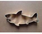 Felcman Süti- (kivirág) cápa 9, 3 cm - Jakub Felcman (f141)