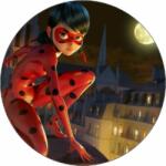 Pictu Hap Ételpapír Csipke a tetőn 19, 5 cm - Pictu Hap (pic9001072_kruh)