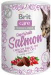  Brit Care Cat Snack Superfruits Salmon 100g - mogyishop