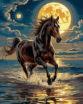 Oh Art! Set pictura pe numere, cu sasiu, Galop in noapte, 40x50 cm (JX1333)