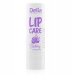 Delia Cosmetics Delia Védő Ajakrúzs Lip Care Bogyó (W-003950-004)