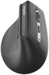 Rapoo EV310M (13049) Mouse
