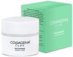 Collagena Codé Крем за лице Niacinamide, correct cream, 50 ml - ozone