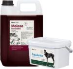 LAB-V EquiJunior - Amestec alimentar complementar pentru mânji, care susține creșterea, dezvoltarea și nutriția adecvată a cailor și poneilor tineri 2 kg + melasă de sfeclă Lab-v 5 l