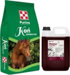 Purina Recreational Horse 25 kg + Lab-v Melasă de sfeclă 5 l